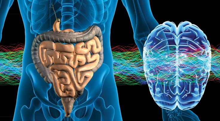 LeandroSalinasX's tweet photo. Tu médico no te dirá esto sobre la ansiedad, el estrés y la depresión.

No son un problema del cerebro. No es un problema de salud mental.

Es la conexión entre tu INTESTINO y tu MENTE.

Aquí tienes 7 formas de evitar que tu intestino sabotee tu salud mental: 🧵 https://t.co/70uhgkXSPz