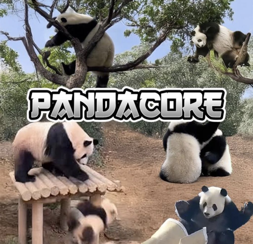<a href="/_TJRTrades/">TJR</a> $pandacore
#pandacore

Dont fade panda 🐼🐼🐼

Pandas taking over tiktok, now the memecoin trenches. 1m+ potential 

6wCrmbStU3fbFvY64UsPKhABdkJLFzcBYgEoWpABpump