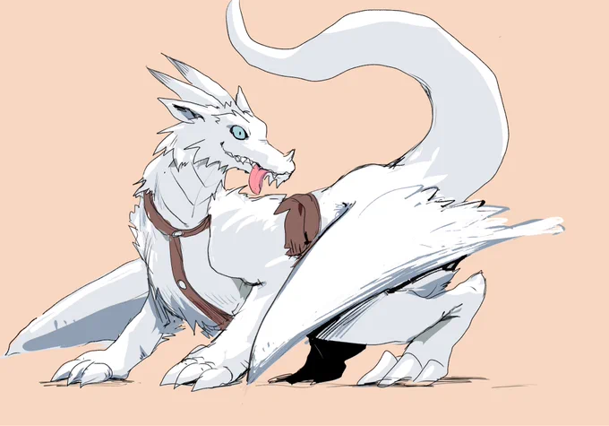 私ドラゴンかくのそこそこうまい 