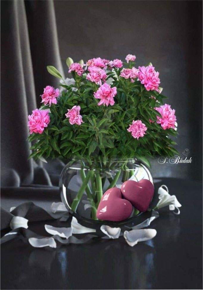 asma00122's tweet photo. https://t.co/pEslGcVOPK
