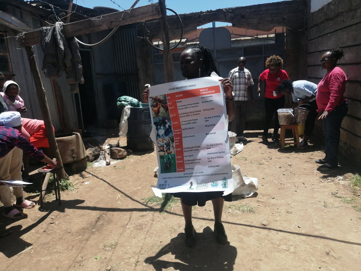 Esther Kanduma (@estherkanduma) on Twitter photo What a fulfiling #InternationalDayforwomenandgirlsinscience2025 #IDWGIS2025. The last day of our #scienceoutreach the #WomeninscienceKE engaged #communityengagement #womenpastoralist in #livestockdisease #control #climatesmart #Agric #feedformulation <a href="/IntVetVaccNet/">IVVN</a> <a href="/uonbi/">University of Nairobi</a> <a href="/UONFST/">University of Nairobi Faculty of Scie & Technology</a> What a fulfiling #InternationalDayforwomenandgirlsinscience2025 #IDWGIS2025. The last day of our #scienceoutreach the #WomeninscienceKE engaged #communityengagement #womenpastoralist in #livestockdisease #control #climatesmart #Agric #feedformulation <a href="/IntVetVaccNet/">IVVN</a> <a href="/uonbi/">University of Nairobi</a> <a href="/UONFST/">University of Nairobi Faculty of Scie & Technology</a>