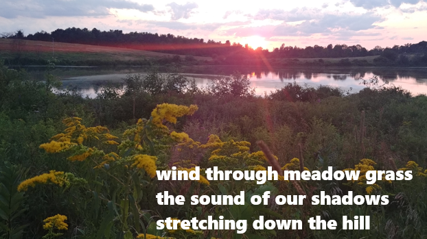 I got this haiku published in the new issue of Modern Haiku:

wind through meadow grass
the sound of our shadows
stretching down the hill