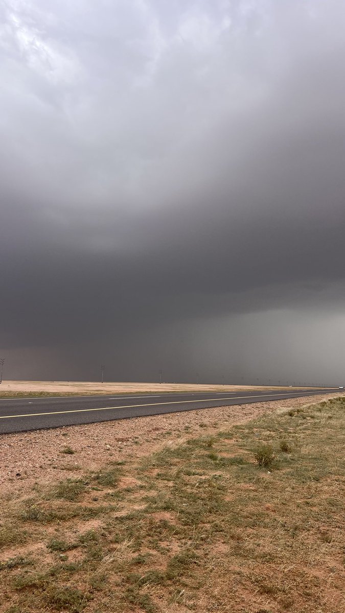 #وبل_بردي tweet media