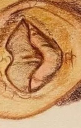 Guess whose lips are these