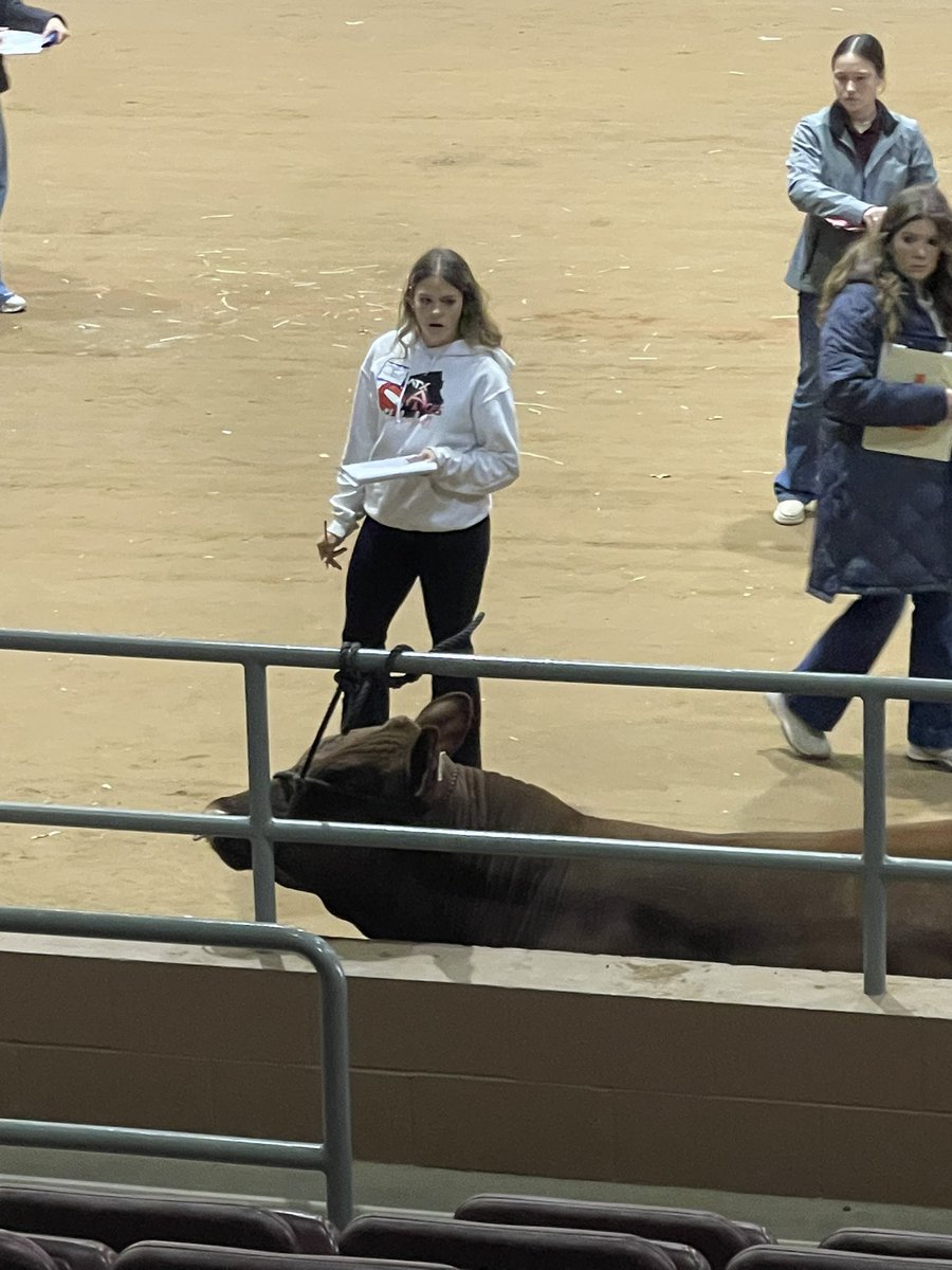 Forsan High School Ag (@agforsan) on Twitter photo Aubrey studying this class of market steers at the San Angelo Livestock Judging Contest. <a href="/ForsanHS/">Forsan JH/HS</a> <a href="/forsanisd/">Forsan ISD</a> Aubrey studying this class of market steers at the San Angelo Livestock Judging Contest. <a href="/ForsanHS/">Forsan JH/HS</a> <a href="/forsanisd/">Forsan ISD</a>
