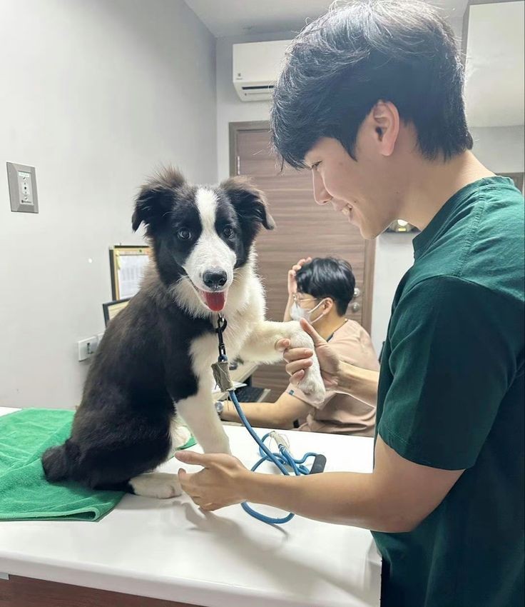 deu tudo certo amigos, eles estão saudáveis e crescendo direitinho!🥹