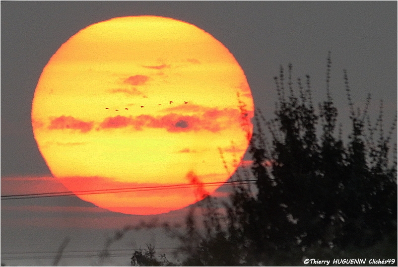 ALERTE METEO sur le département du Maine-et-Loire!!
Apparition du soleil dans le ciel  jusqu'à lundi! 
En 4 semaines, depuis le 21 janvier, le soleil n’a brillé de sa présence que 18 h. sur l’Anjou, et moins de 7 h. depuis le 1er Février!
#soleil #meteo #alertemétéo #maineetloire