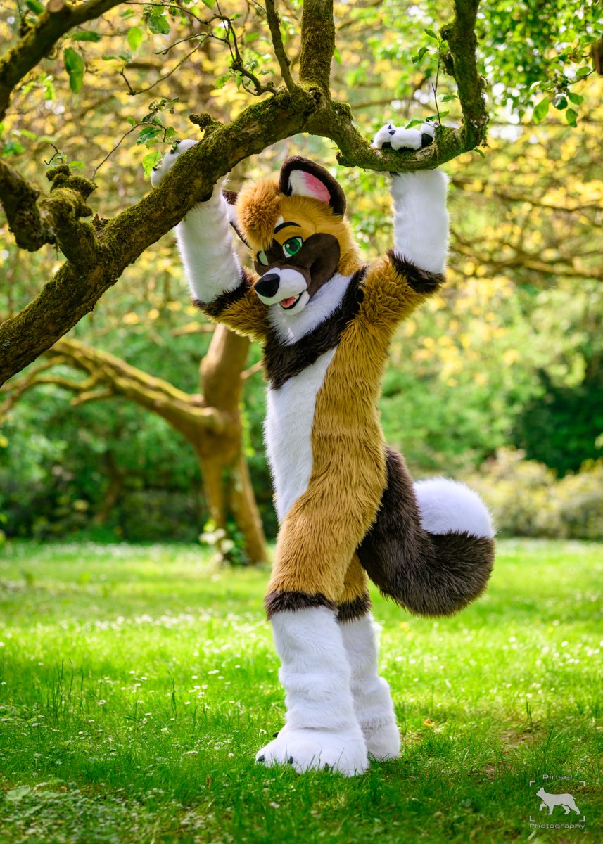 ./<a href="/borkehlicious/">Chaokita 🔜 AFC</a> during Furry Weekend Holland 2023, an old photo but still a good one.