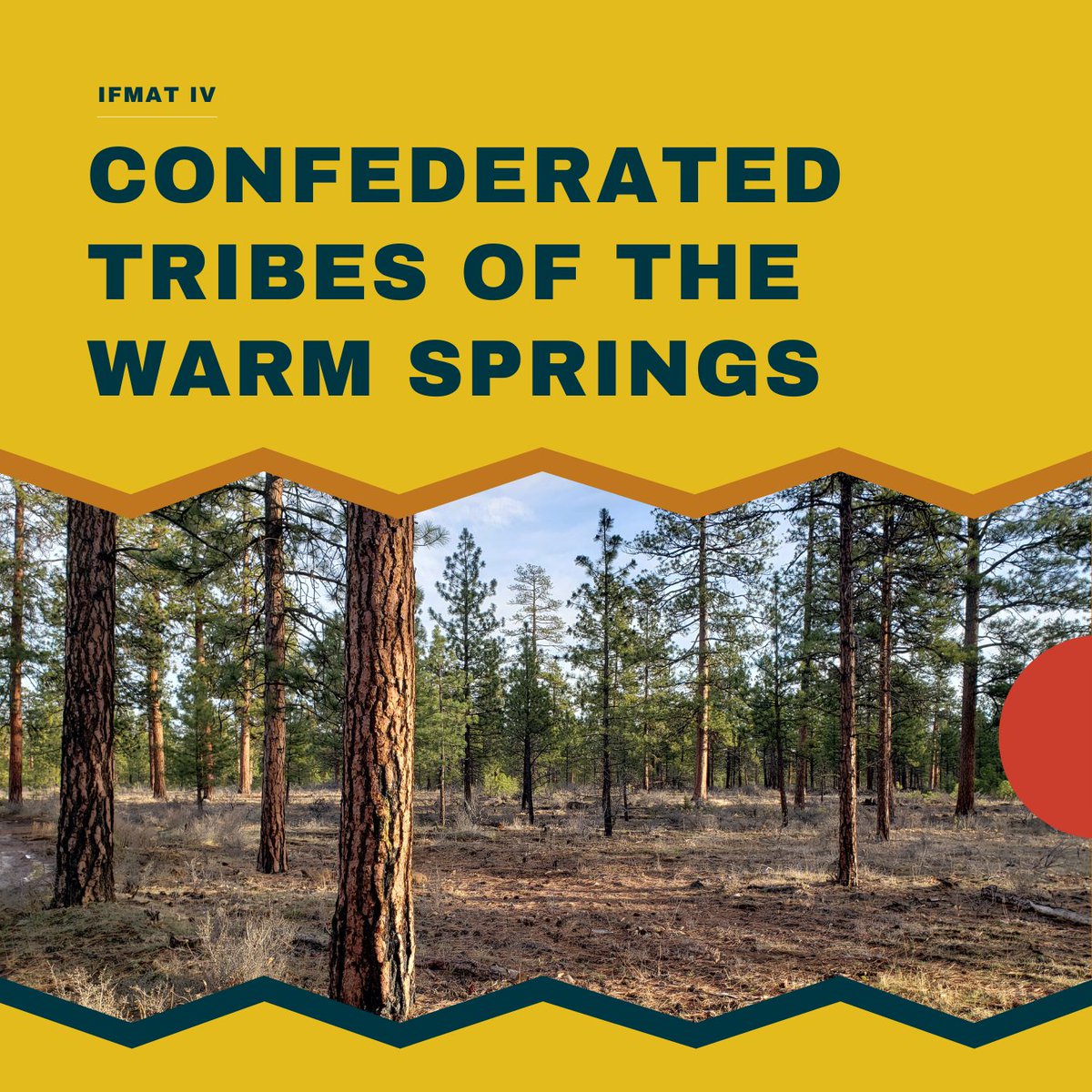 Intertribal_TC's tweet image. 🌲✨The Indian Forest Management Assessment Team toured 37 tribal forests, including meeting with the Confederated Tribes of the Warm Springs in Nov 2021. Read the full IFMAT IV report: online.flippingbook.com/view/719646412/
#Indianforests #IFMATIV