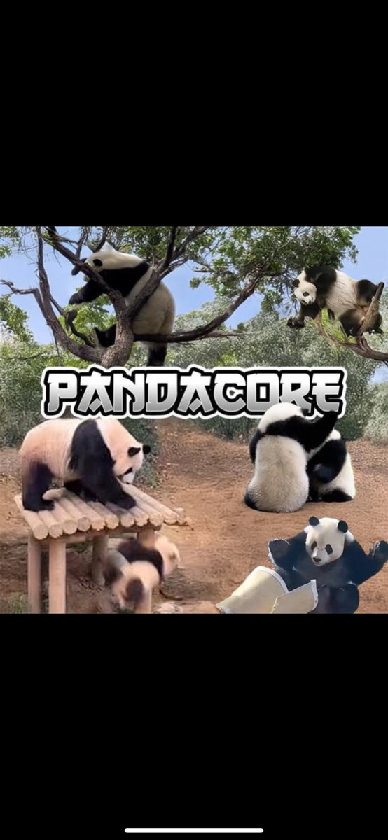 $PANDACORE tweet media