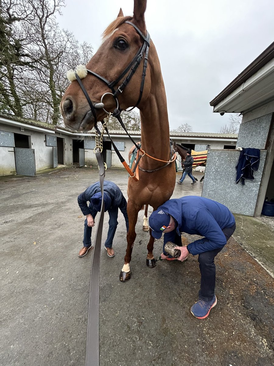 Hassett Racing (@hassettracing) on Twitter photo Team work makes the dream work🤝🏻 Martin and Michael putting the finishing touches on Soloman Lane before he went on to finish second and win best turned out today <a href="/GowranPark1/">Gowran Park</a> 🥈🤩 Team work makes the dream work🤝🏻 Martin and Michael putting the finishing touches on Soloman Lane before he went on to finish second and win best turned out today <a href="/GowranPark1/">Gowran Park</a> 🥈🤩