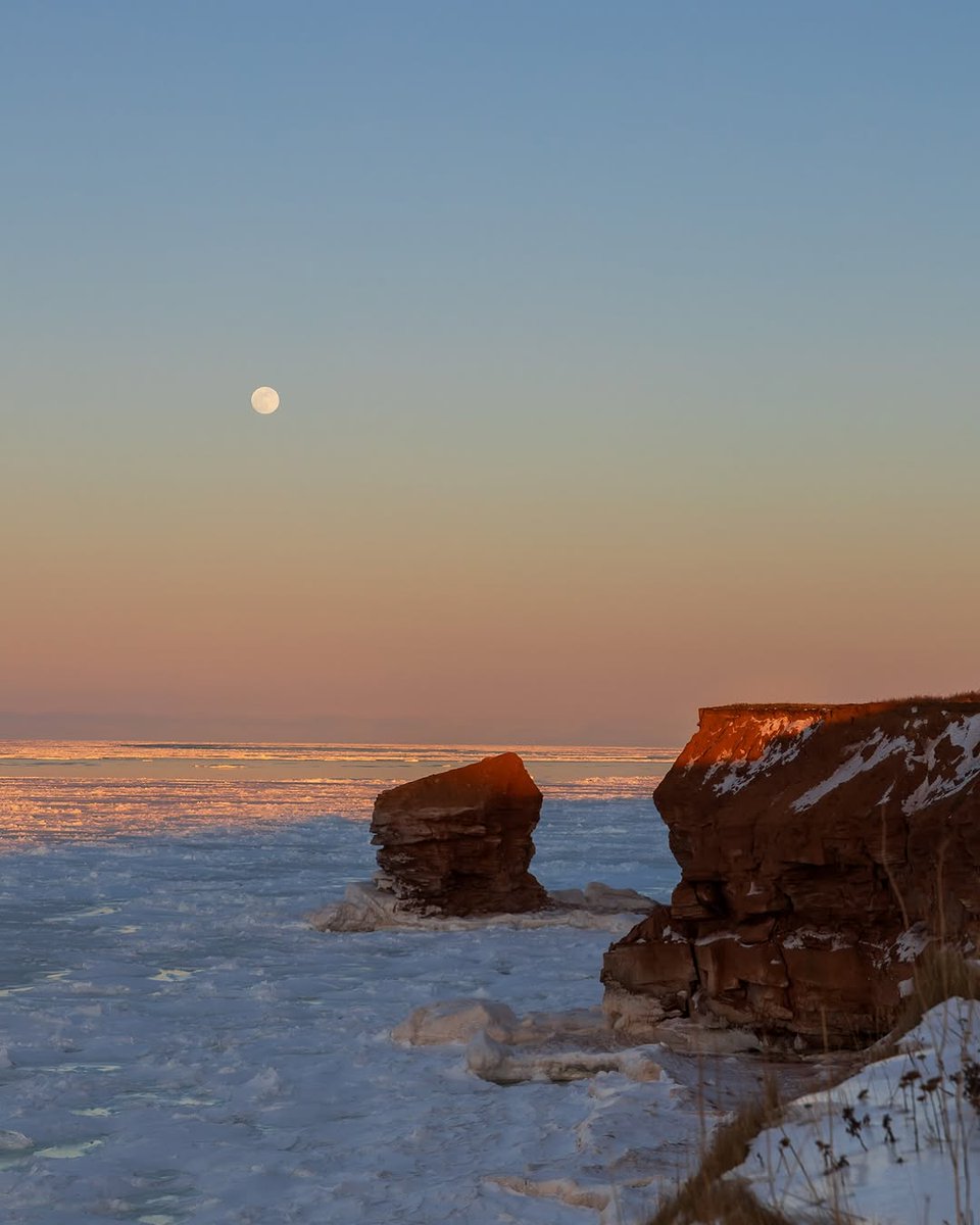 WelcomePEI's tweet photo. When the winter moon and sunset light up the Island in the most magical way. β¨
π MacKenzie's Brook, Cavendish
π· Jillian Johnston Photography
#WelcomePEI #TruePEI https://t.co/LYbSjxu9Kg