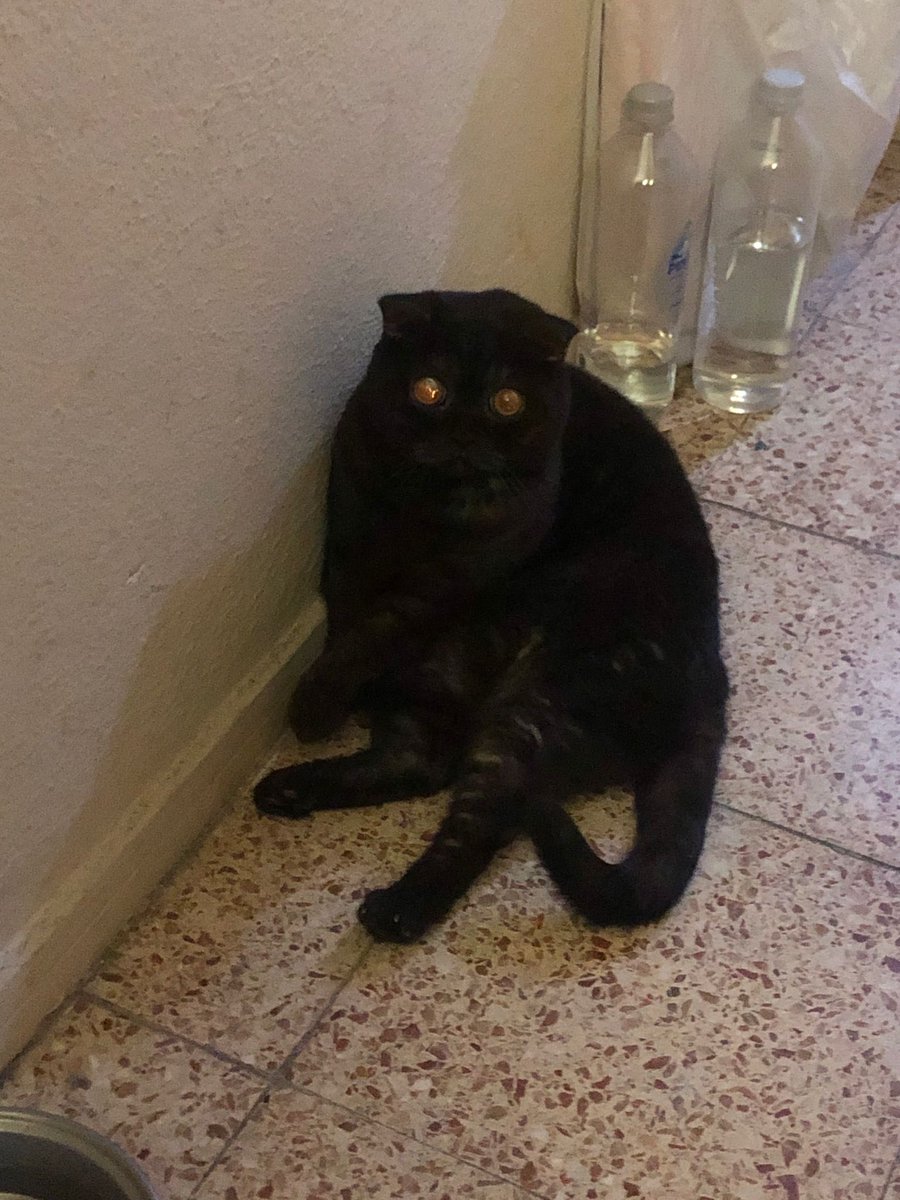 Geçe geçe hatapotu olmuçtum