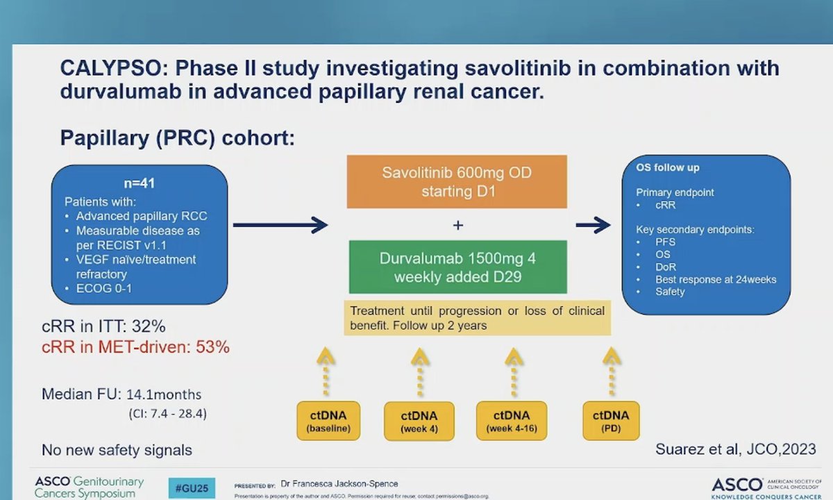 CAMILLA (G/E Cohort) slide