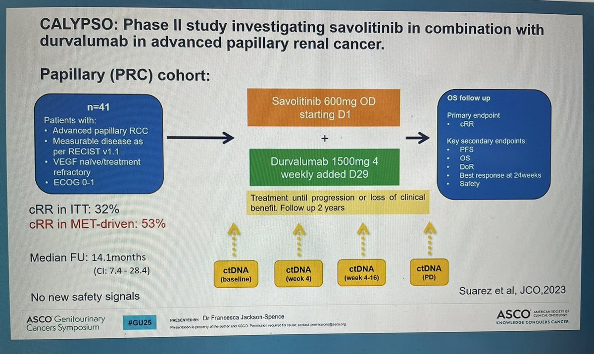CAMILLA (G/E Cohort) slide