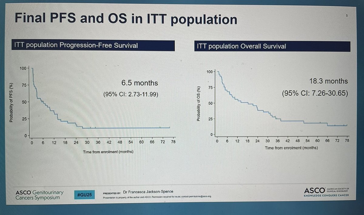 CAMILLA (G/E Cohort) slide
