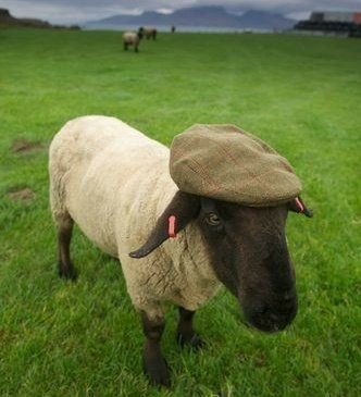 Sixrande's tweet image. Don't even joke lad