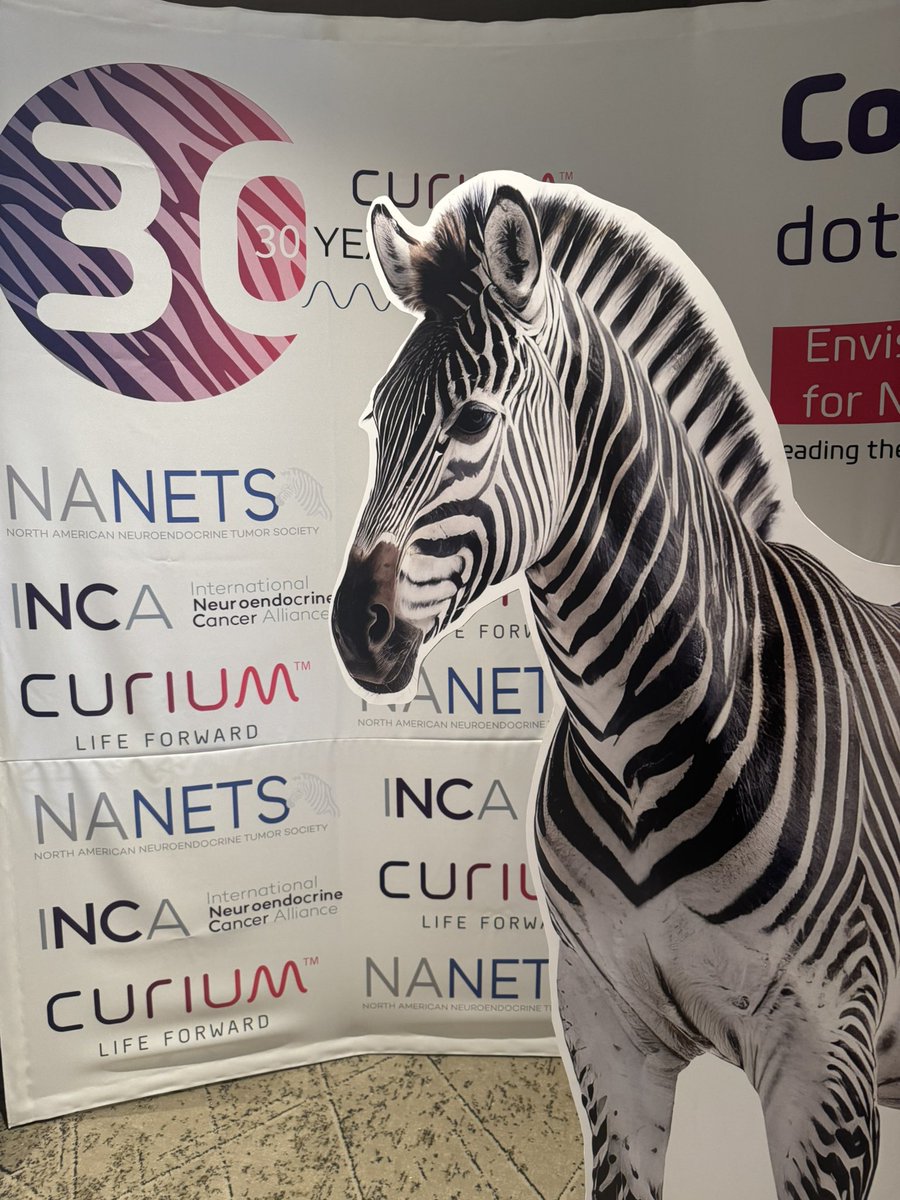Julie Hallet (@halletjulie) on Twitter photo When <a href="/NANETS1/">NANETS</a> goes to Mexico City 🦓
Surgical management of SB-NETs: tailor resection to disease! 
✅Spare bowel
✅Spare liver
More about control than cure 💭
Some great discussions with attendees!
Many questions to be answered 👉🏻<a href="/CUTNETs_/">CUTNETs Group</a> has work to do! When <a href="/NANETS1/">NANETS</a> goes to Mexico City 🦓
Surgical management of SB-NETs: tailor resection to disease! 
✅Spare bowel
✅Spare liver
More about control than cure 💭
Some great discussions with attendees!
Many questions to be answered 👉🏻<a href="/CUTNETs_/">CUTNETs Group</a> has work to do!