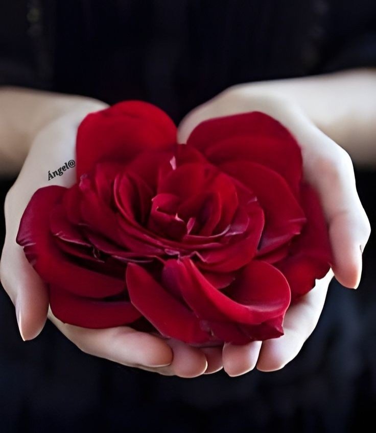 ❤️❤️❤️SOÑADORES 

Siempre hay que encontrar el tiempo para agradecer a las personas que hacen la diferencia en nuestras vidas. 
Gracias, gracias, gracias, por ser y estar.