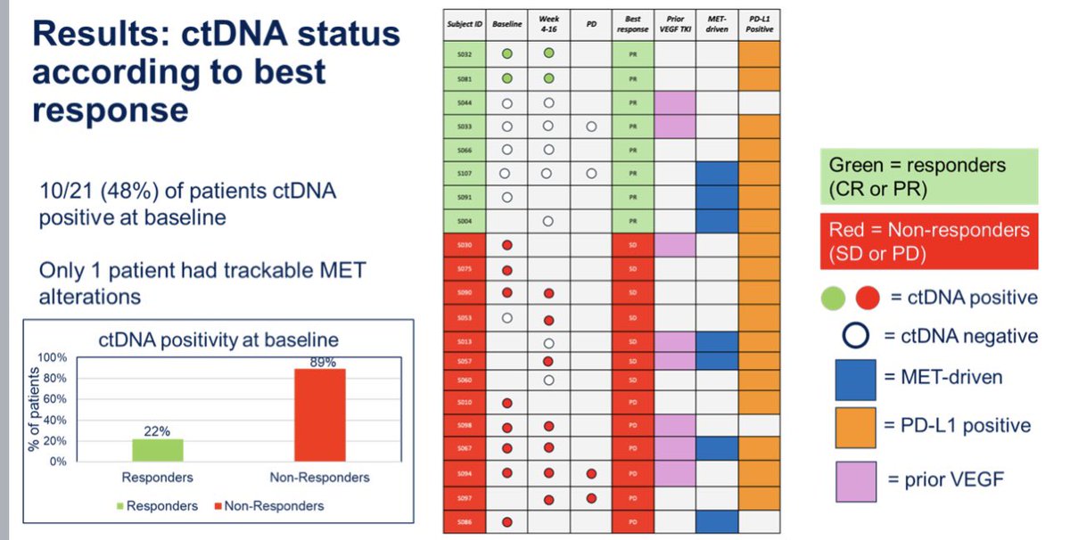 CAMILLA (G/E Cohort) slide
