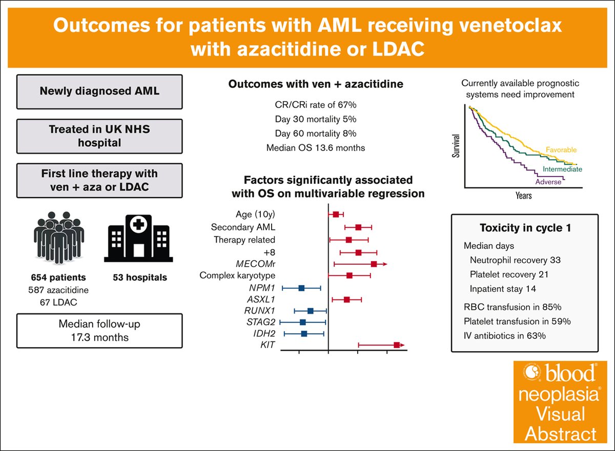Real-world outcomes of newly diagnosed AML treated with venetoclax and azacitidine or low-dose cytarabine in the UK NHS ashpublications.org/bloodneoplasia… #AML #leusm