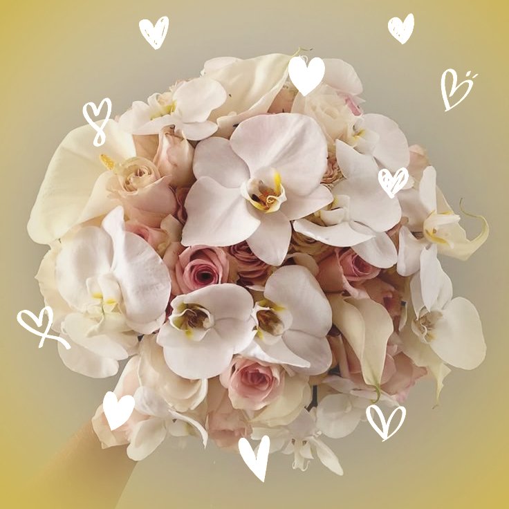 ᅠ 𑄼̶ׁᅠ 𝒍𝖺𝖽𝗒ᅠ𝑜𝑓ᅠtheᅠ𝙳𝙴𝙴͠𝙿 . tweet media