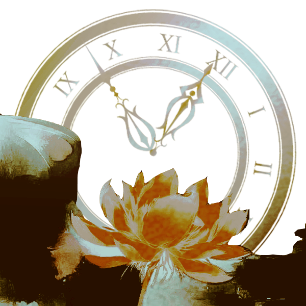 x.com/flovrlsalvctio…