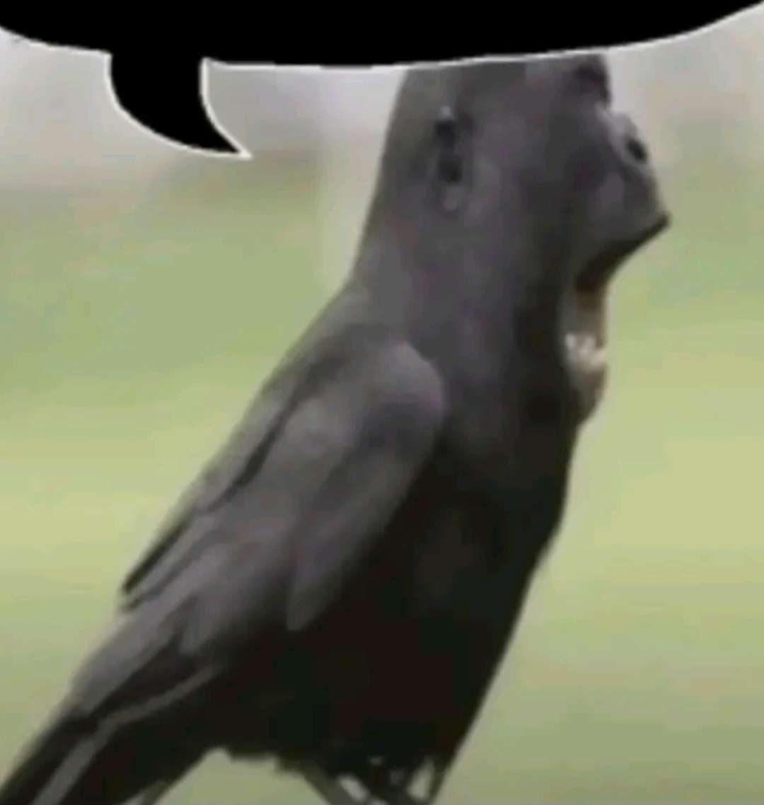 Sloppy Slime tweet media