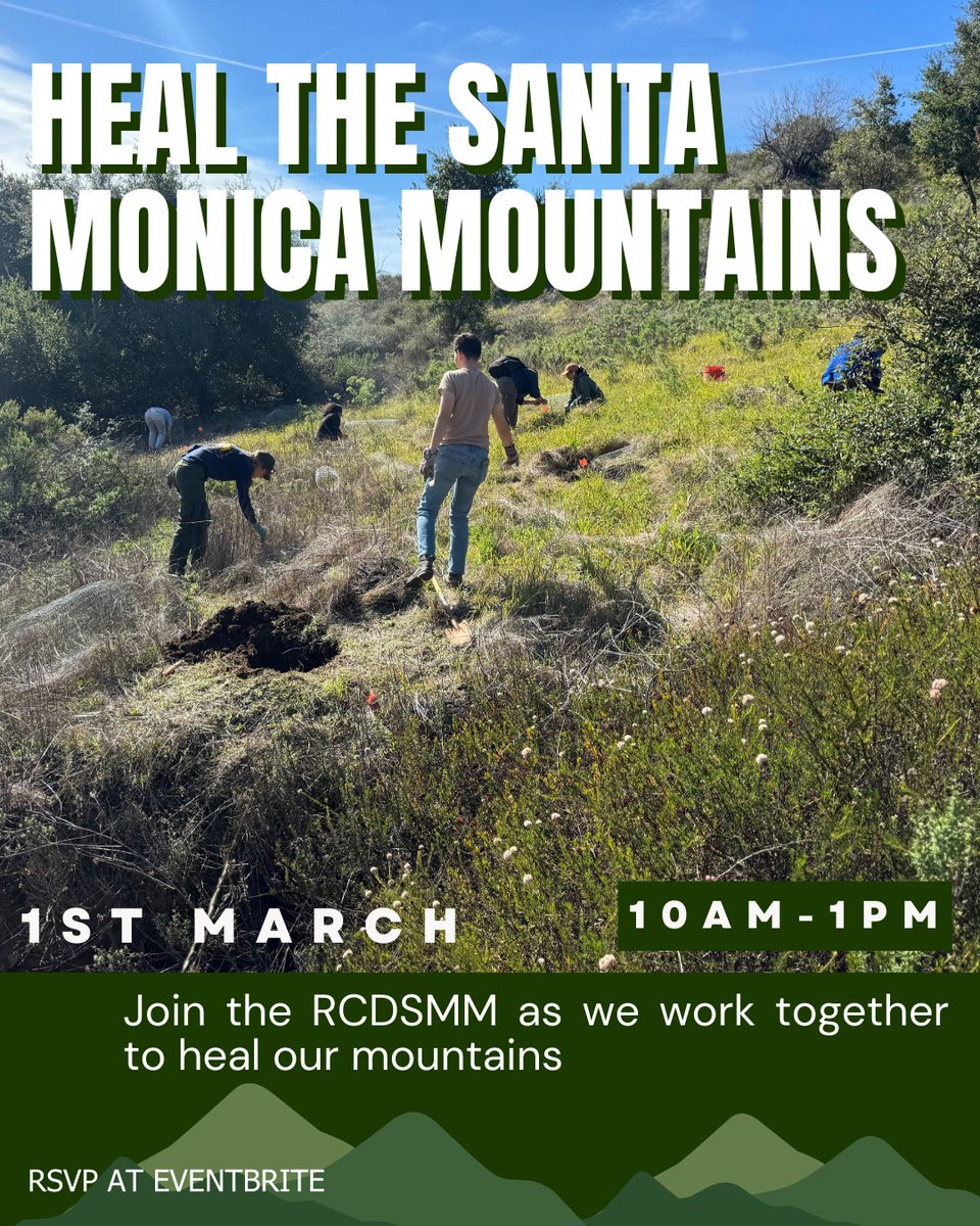 Our mountains have endured unprecedented change since 2025 began but you can become an active part of healing these fragile spaces. We're inviting u to restore oak woodlands at Nick Flat - damaged by fire in 2018 💚 rsvp at eventbrite.com/e/nicholas-fla…