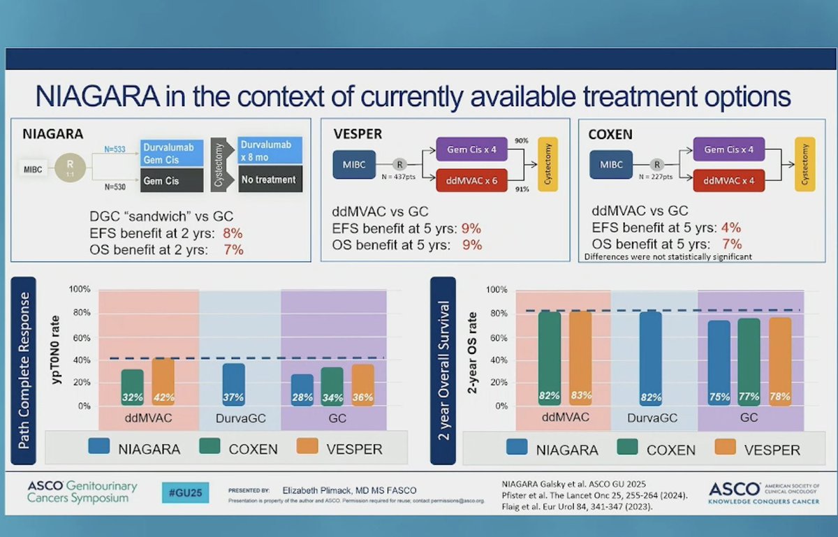Sabine D. Brookman-May tweet media