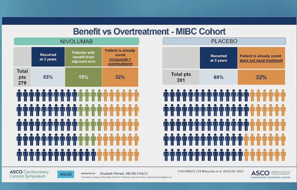 Sabine D. Brookman-May tweet media