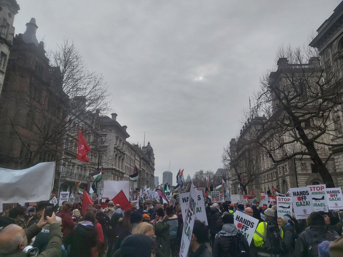 J_AndresCuervo's tweet image. Another massive protest for the Palestinian people. Comrades of the world, never stop, never surrender.

#PalestinianHasRights #Freep

@PSCupdates @STWuk @macklemore