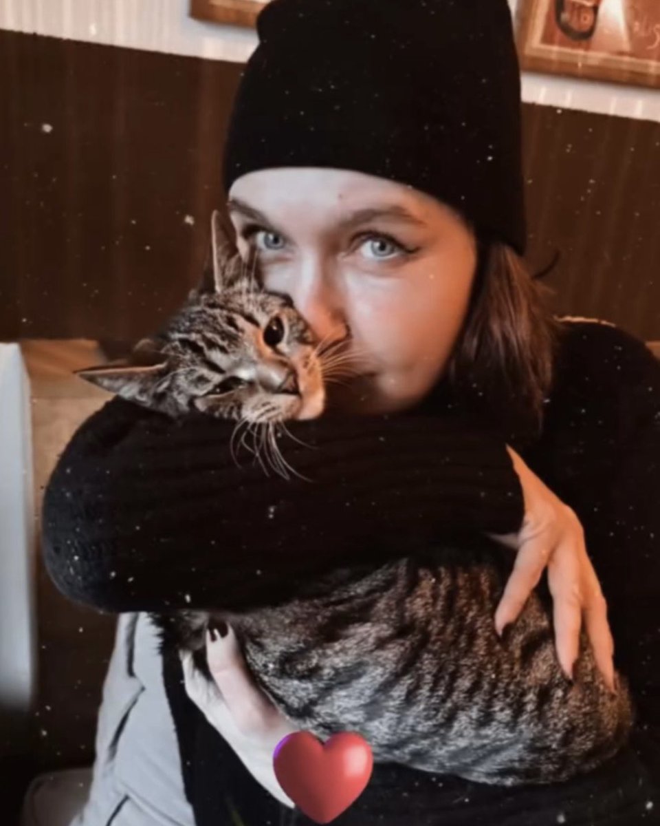 two kittens 🐱