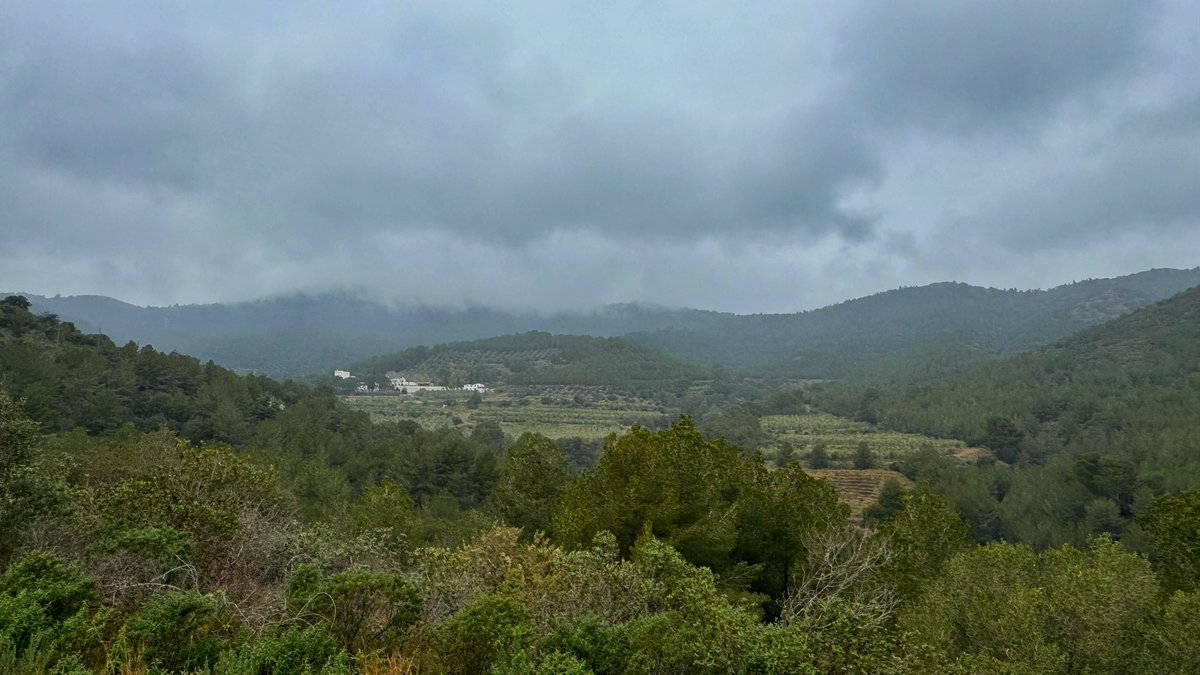 AdriaPinol's tweet photo. Matí a bosc! 🌳🌸🍃🍂 #Almoster 💚
#Bosc #Arbres #Pluja #Natura #Aigua #Hivern #Tranquilitat #Caminar #ViscaelPoble #ViscalaVida https://t.co/gM4Xodgjx7