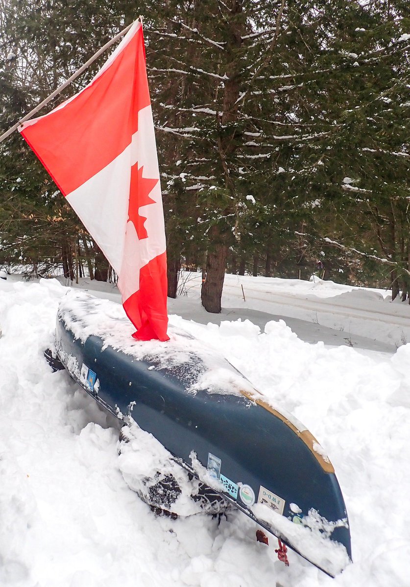Vermont Paddle Pups tweet media