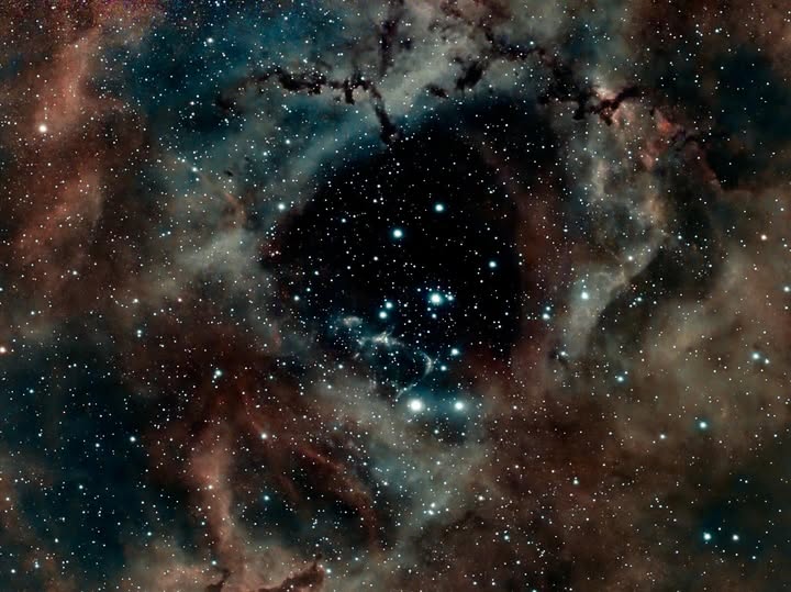 Celestron's tweet photo. ๐ญโจ Gary Richardson has caught the #CelestronOrigin bug! ๐ His latest lineup of deep-sky targets includes the #RosetteNebula, #HorseheadNebula, #ElephantsTrunk, and the #SilverNeedleGalaxy.
Which oneโs your favorite? Drop a ๐น๐ด ๐ or ๐ชก in the comments! ๐
#Astrophotography https://t.co/ReBVxPS7D5