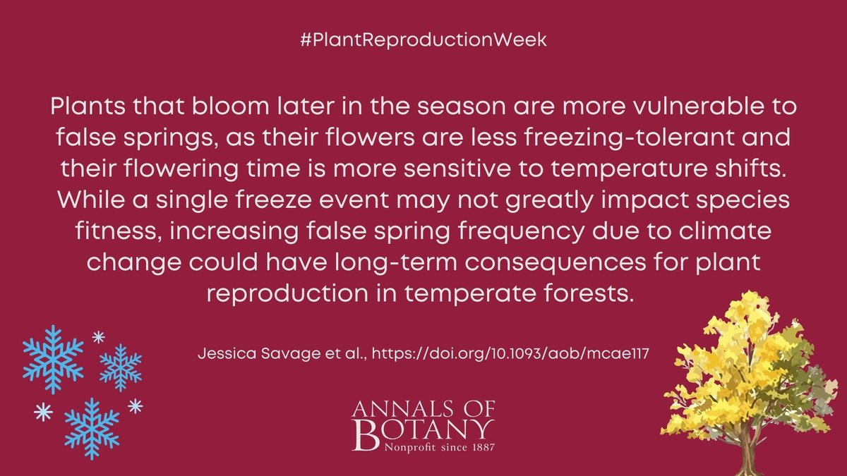 annbot's tweet photo. ❄️🌸#PlantReproductionWeek🌳
Floral freezing tolerance is tied to flowering time in North American woody plant species by Jessica Savage et al. in @annbot
#openaccess article
👉 https://t.co/FTnJ6ycc8a
#PlantScience https://t.co/rtcmik3uQo