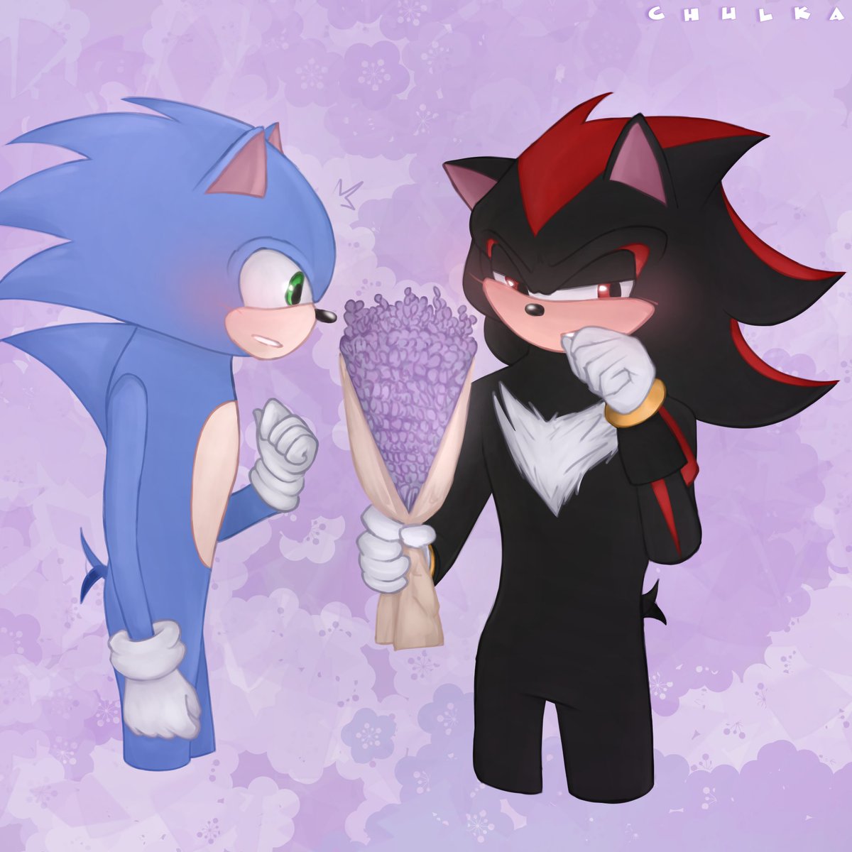 chulkachulka's tweet photo. happi late valentines day🙏🙏 #chulka #art #fanart #sonic #shadow #sonidow #ValentinesDay https://t.co/d9HoR7M3sH
