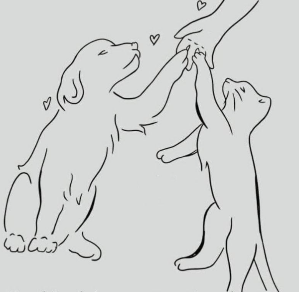 Be kind to your pets. they're a few years of your life.
But you're all of theirs.