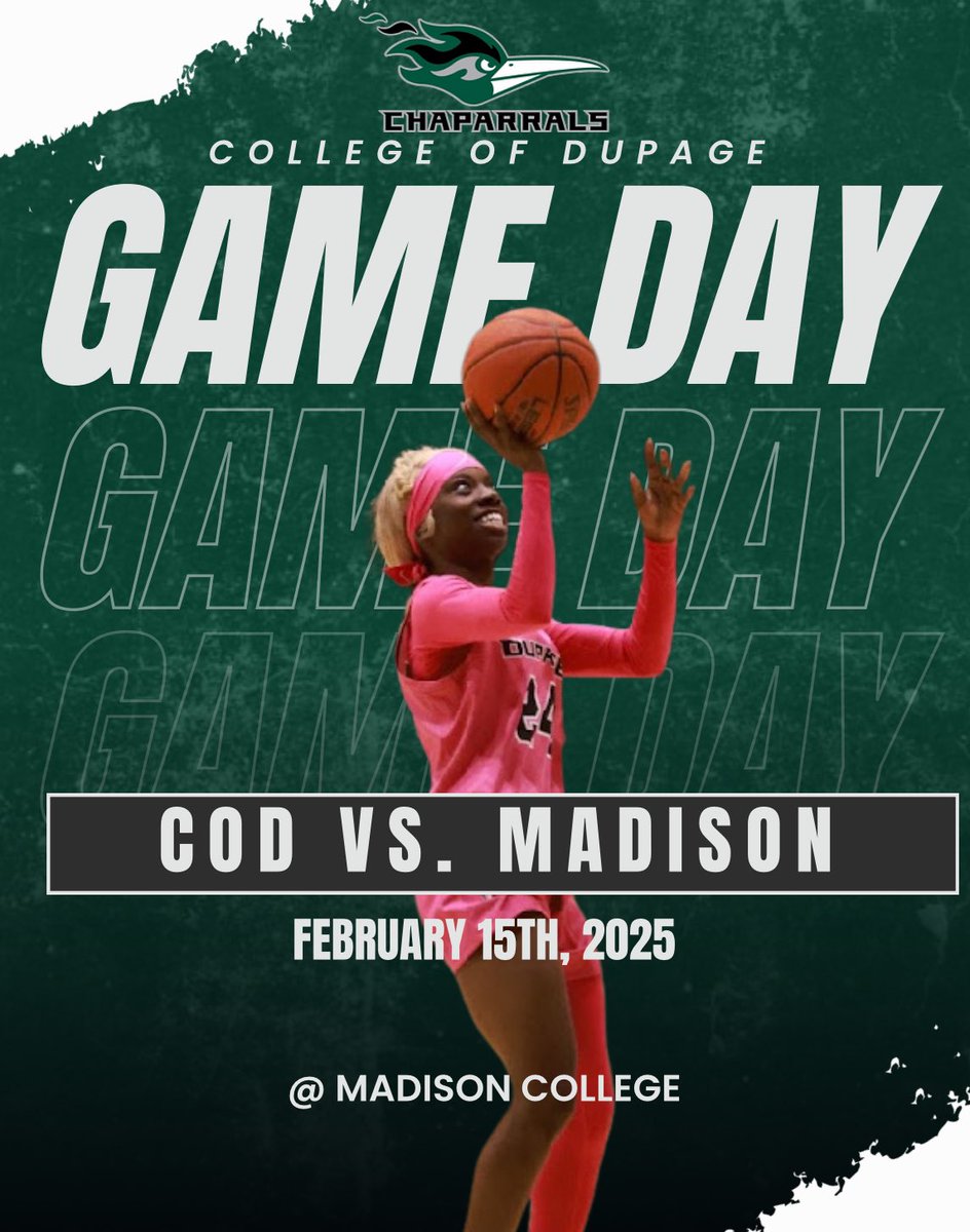 GAME DAY‼️📣

Your lady chaps head to Madison College in WI for some region 4 play. 🏀

📍 Madison 
⏰ 1pm 
📺 madisoncollegeathletics.com/watch/?Live=44…