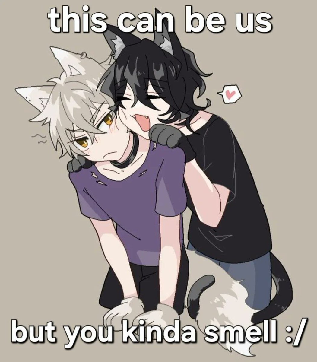 FemboyLoveerr's tweet photo. https://t.co/waSDrLeHCZ