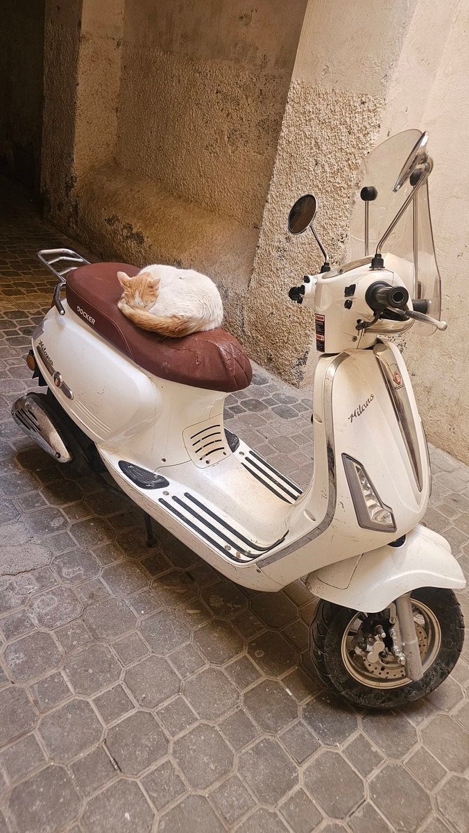 VentureBeyond tweet media