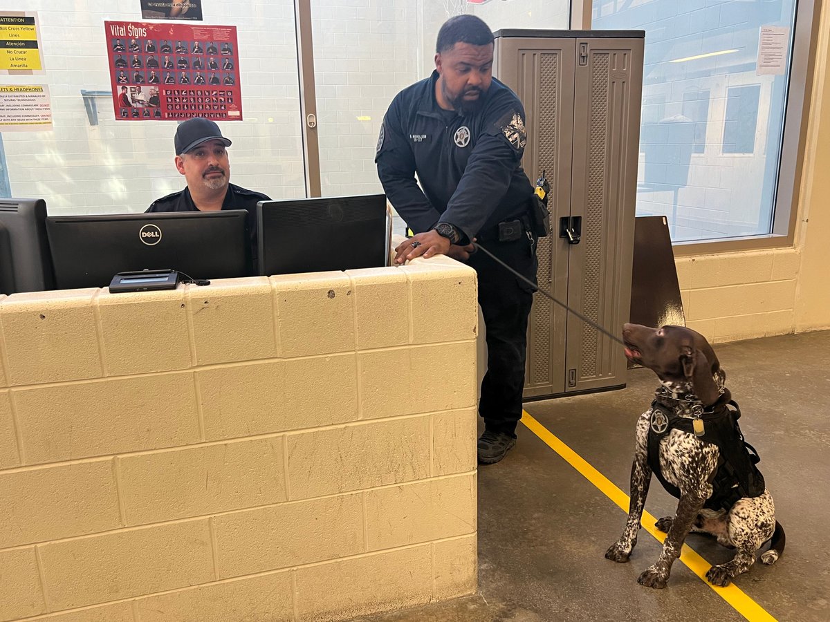 DenverSheriff's tweet image. What do you think K9 Gunner is saying? He has everyone&apos;s attention! #SaturdaySparkOfJoy! #DSDEst1902 #WorkingDogsOfTwitter