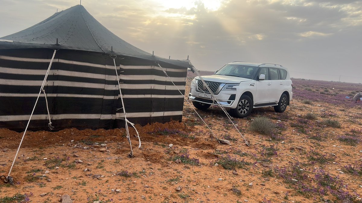 أ. هابس الغويري (@habis_sh) on Twitter photo 