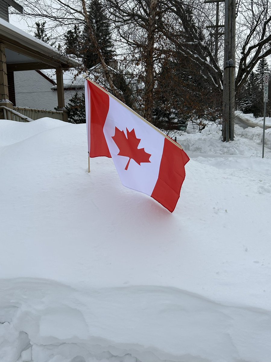 Dr. Heather Cameron tweet media