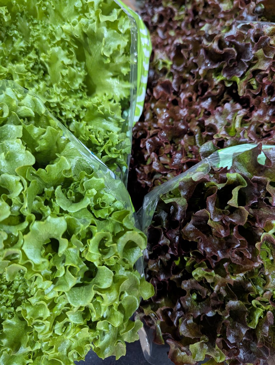 Happy Saturday !!  Rain or shine (or snow) we are open today from 9-1 at the Native Sons Hall.  

Come on down and get your local on!