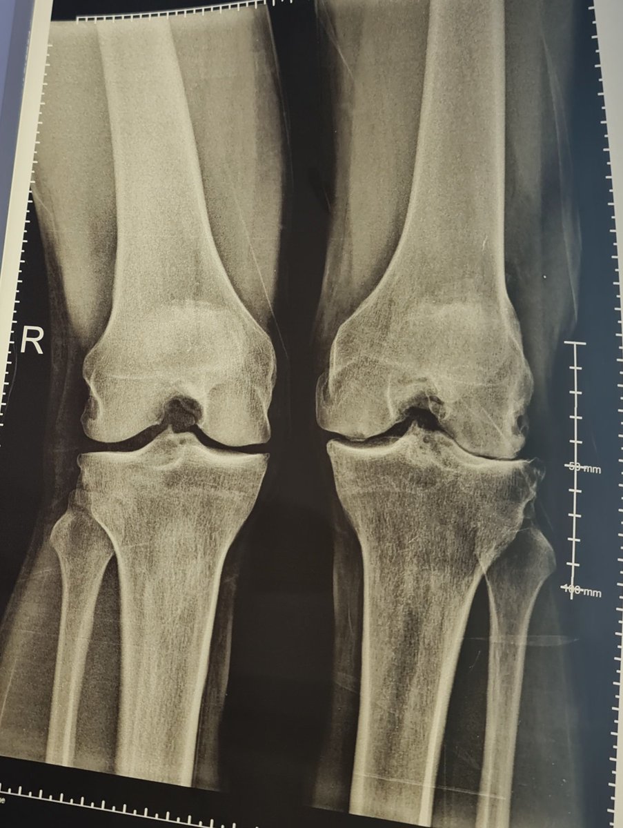 Mohamed Ekshame tweet media