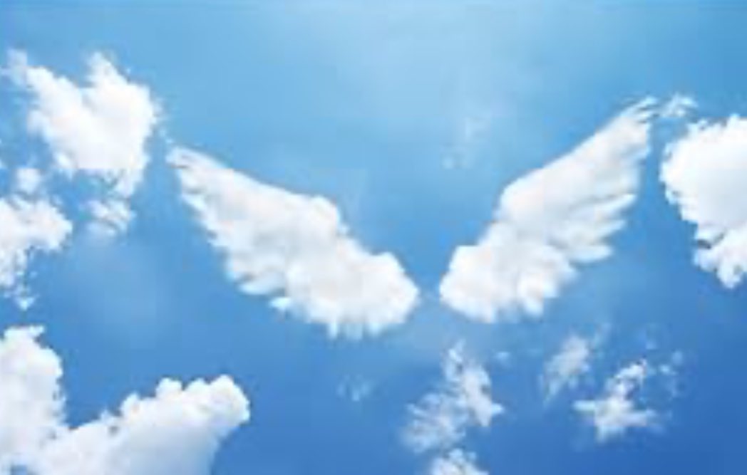 Ein Kind u. seine Mama sind gestorben. Mögen sie f. immer im Himmel zusammen sein. Ruhe in Frieden kleiner Engel 🕯️😥

Ich denke an den Papa...

Ich will heute keinen linksgrünblöden, migrationsbesoffenen Politiker mit irgendeiner Heuchelei hören!

HALTET EINFACH MAL DIE FRESSE!