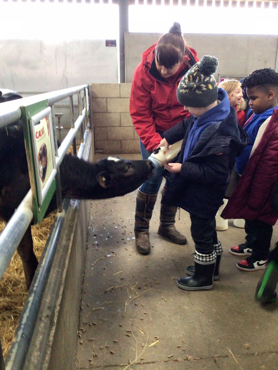 Year 2 at Rand Farm <a href="/DeltaWeelsby/">Weelsby Academy 🌈</a>