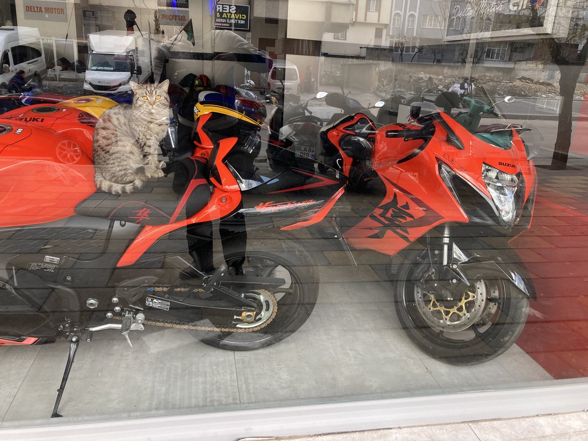 Satış danışmeownı